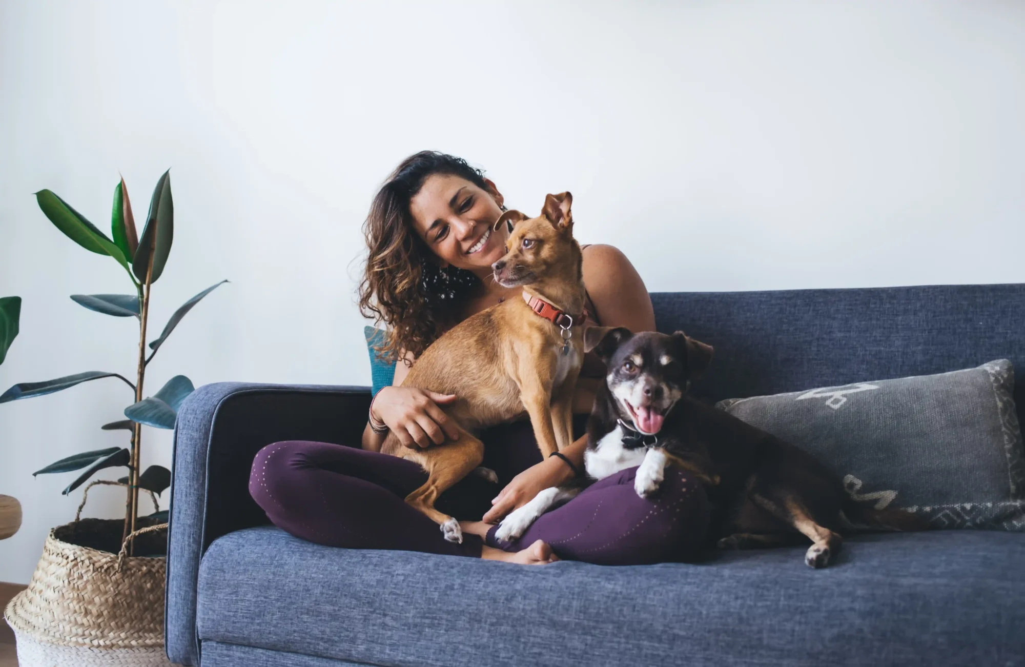 Woman with two dogs on a couch smiling